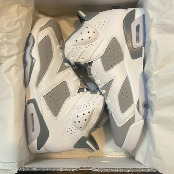 Air Jordan 6 cool grey - Picture 7 of 10